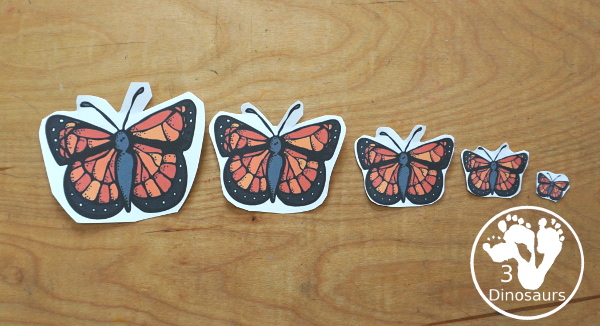 Free Life Cycle of a Butterfly Pack - a 70 page prek and kindergarten and 32 page tot and preschool pack with load of life cycle of butterfly for monarch with different pictures and activities around butterflies - 3Dinosaurs.com